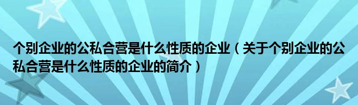 個別企業(yè)的公私合營是什么性質(zhì)的企業(yè)（關(guān)于個別企業(yè)的公私合營是什么性質(zhì)的企業(yè)的簡介）