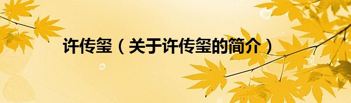 許傳璽（關(guān)于許傳璽的簡(jiǎn)介）