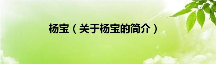 楊寶（關(guān)于楊寶的簡介）