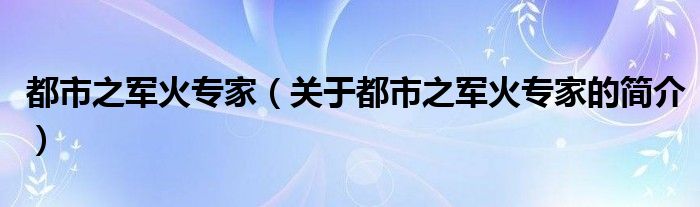 都市之軍火專家（關于都市之軍火專家的簡介）