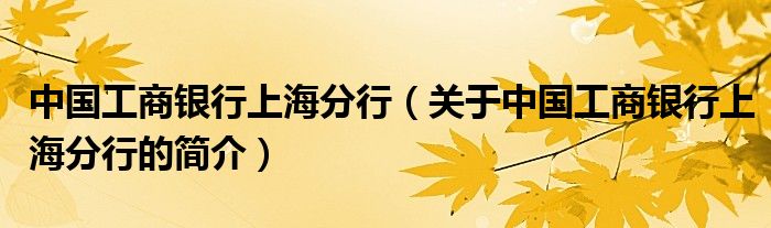 中國(guó)工商銀行上海分行（關(guān)于中國(guó)工商銀行上海分行的簡(jiǎn)介）