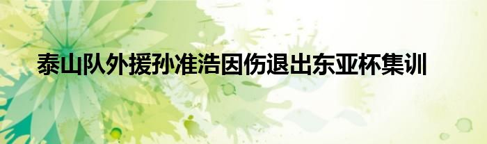 泰山隊外援孫準浩因傷退出東亞杯集訓