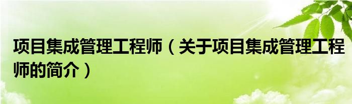 項目集成管理工程師（關(guān)于項目集成管理工程師的簡介）