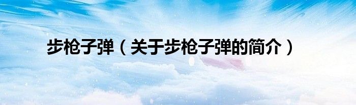 步槍子彈（關(guān)于步槍子彈的簡(jiǎn)介）