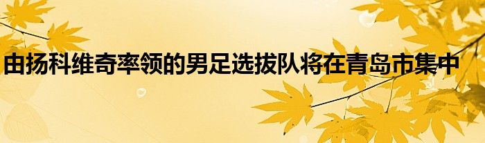 由揚(yáng)科維奇率領(lǐng)的男足選拔隊(duì)將在青島市集中