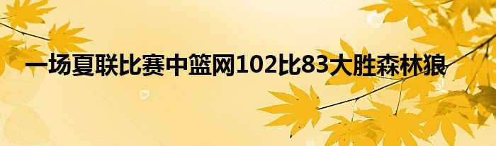 一場夏聯比賽中籃網102比83大勝森林狼