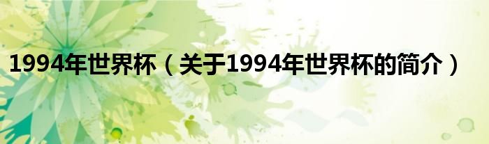 1994年世界杯（關(guān)于1994年世界杯的簡介）