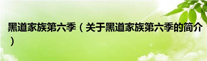 黑道家族第六季（關(guān)于黑道家族第六季的簡介）