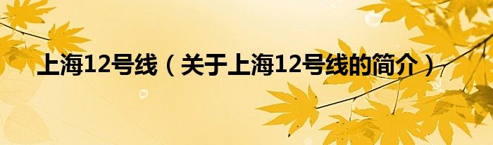 上海12號(hào)線（關(guān)于上海12號(hào)線的簡(jiǎn)介）