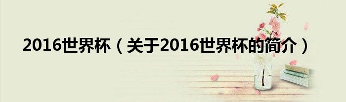 2016世界杯（關(guān)于2016世界杯的簡介）