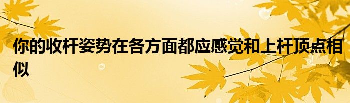 你的收桿姿勢在各方面都應(yīng)感覺和上桿頂點相似