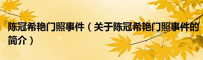 陳冠希艷門照事件（關(guān)于陳冠希艷門照事件的簡(jiǎn)介）