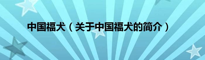 中國福犬（關(guān)于中國福犬的簡介）