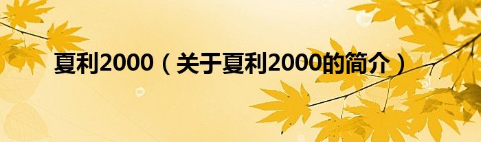 夏利2000（關于夏利2000的簡介）