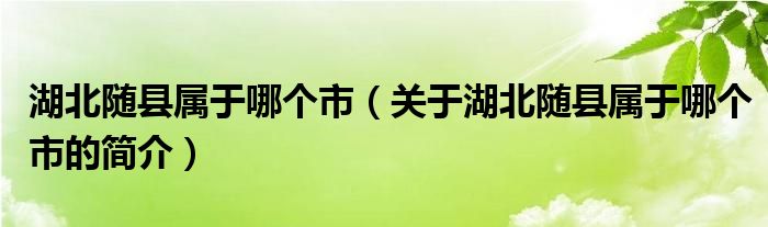 湖北隨縣屬于哪個(gè)市（關(guān)于湖北隨縣屬于哪個(gè)市的簡(jiǎn)介）