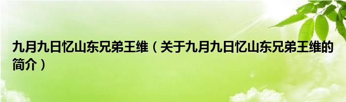 九月九日憶山東兄弟王維（關于九月九日憶山東兄弟王維的簡介）