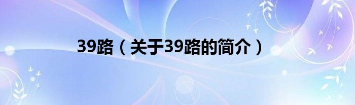 39路（關(guān)于39路的簡(jiǎn)介）