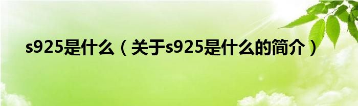 s925是什么（關(guān)于s925是什么的簡介）