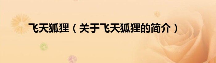 飛天狐貍（關(guān)于飛天狐貍的簡(jiǎn)介）