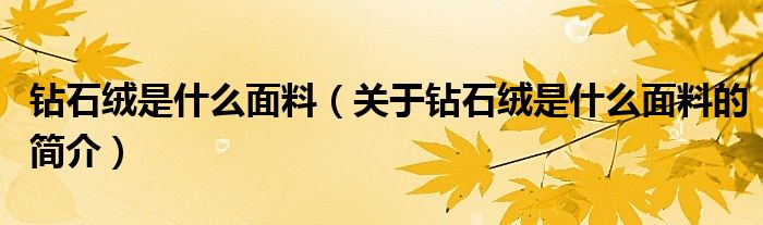 鉆石絨是什么面料（關(guān)于鉆石絨是什么面料的簡(jiǎn)介）