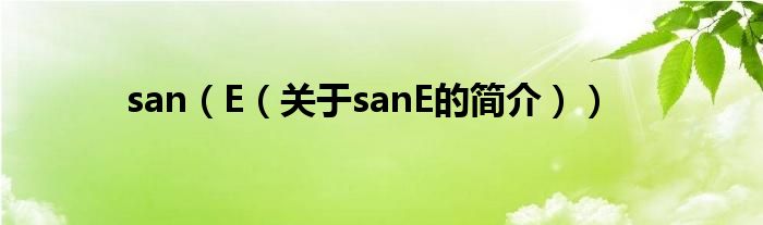 san（E（關(guān)于sanE的簡介））