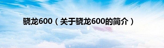 驍龍600（關(guān)于驍龍600的簡介）