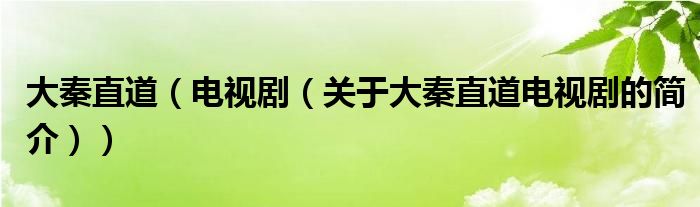 大秦直道（電視?。P(guān)于大秦直道電視劇的簡介））