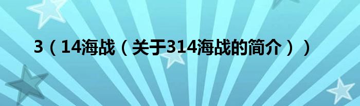 3（14海戰(zhàn)（關(guān)于314海戰(zhàn)的簡介））