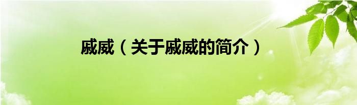 戚威（關(guān)于戚威的簡介）