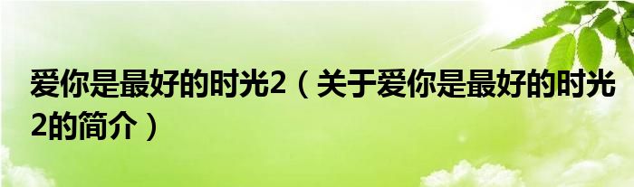 愛你是最好的時光2（關(guān)于愛你是最好的時光2的簡介）