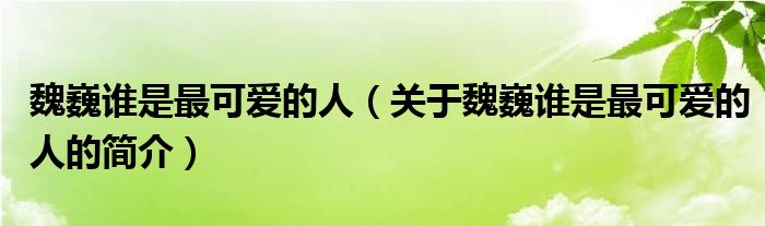 魏巍誰是最可愛的人（關(guān)于魏巍誰是最可愛的人的簡(jiǎn)介）