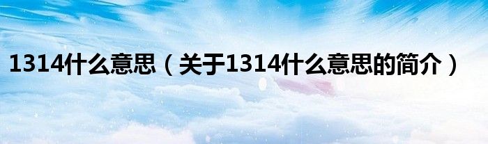 1314什么意思（關于1314什么意思的簡介）