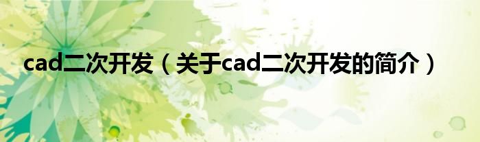 cad二次開發(fā)（關(guān)于cad二次開發(fā)的簡(jiǎn)介）