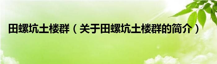 田螺坑土樓群（關(guān)于田螺坑土樓群的簡(jiǎn)介）