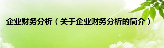 企業(yè)財務分析（關于企業(yè)財務分析的簡介）