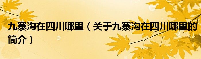 九寨溝在四川哪里（關(guān)于九寨溝在四川哪里的簡介）