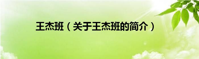 王杰班（關(guān)于王杰班的簡(jiǎn)介）