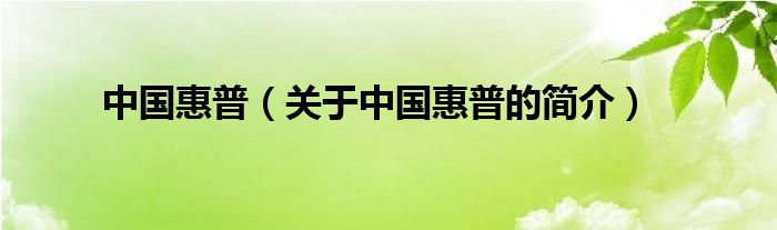 中國惠普（關(guān)于中國惠普的簡介）