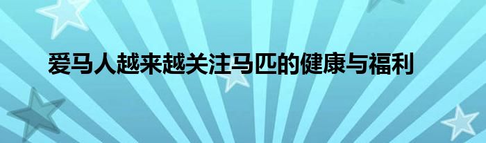 愛馬人越來越關注馬匹的健康與福利