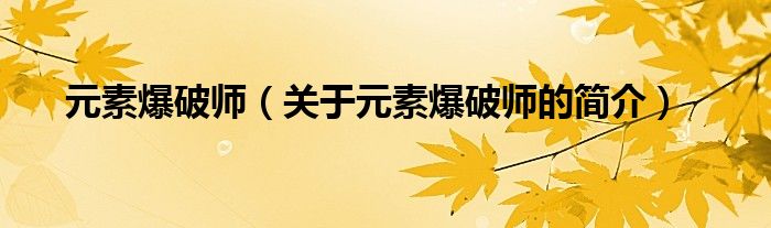 元素爆破師（關(guān)于元素爆破師的簡介）