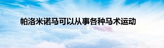 帕洛米諾馬可以從事各種馬術運動