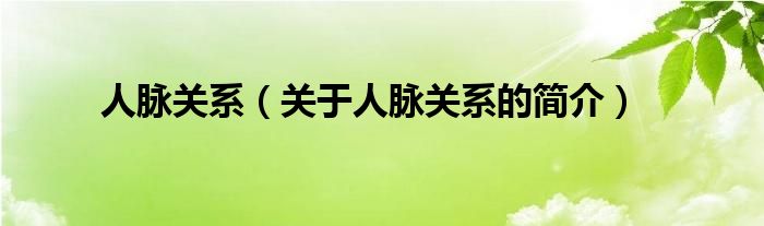 人脈關(guān)系（關(guān)于人脈關(guān)系的簡介）