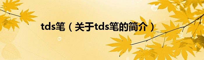 tds筆（關(guān)于tds筆的簡介）