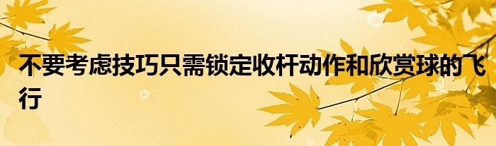 不要考慮技巧只需鎖定收桿動作和欣賞球的飛行