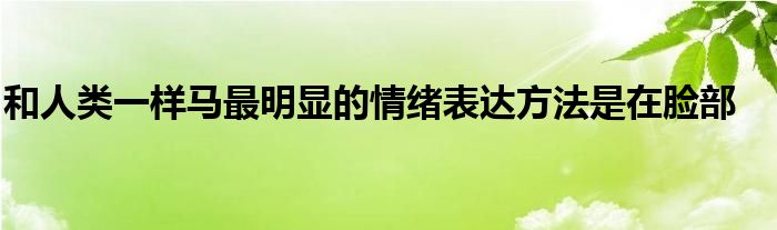 和人類一樣馬最明顯的情緒表達方法是在臉部