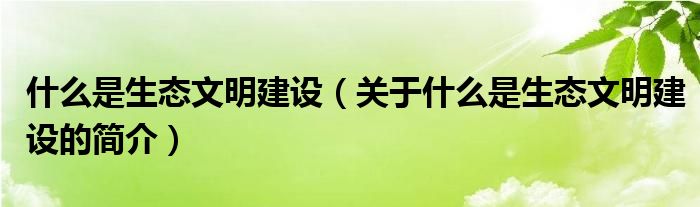 什么是生態(tài)文明建設（關于什么是生態(tài)文明建設的簡介）