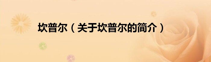 坎普爾（關(guān)于坎普爾的簡(jiǎn)介）