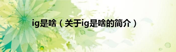 ig是啥（關于ig是啥的簡介）