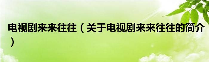 電視劇來(lái)來(lái)往往（關(guān)于電視劇來(lái)來(lái)往往的簡(jiǎn)介）