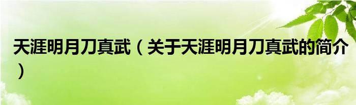 天涯明月刀真武（關(guān)于天涯明月刀真武的簡介）